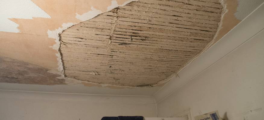 Mold Remediation for Apartment Buildings - Mold Experts USA