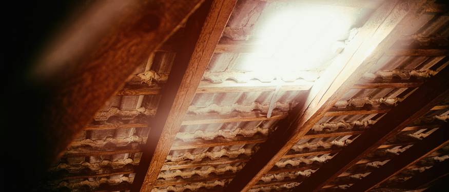 Technician inspecting mold in attic insulation, visible mold on wood rafters, HVAC ducts nearby