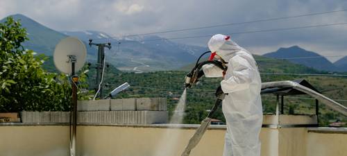 Professional cleaning of mold in a damp basement