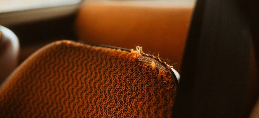 A comparison between a professional and a DIYer removing mold from car seats and carpet