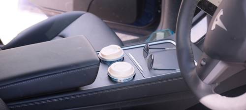 Mold cleanup in a car interior with visible mold on fabric seats