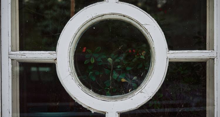 Cladosporium mold as olive-black patches on a window frame