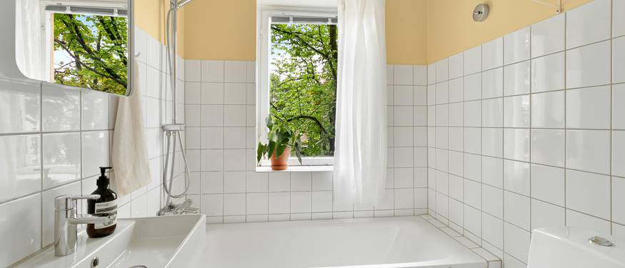 Common places mold grows in homes, including bathroom tile, under kitchen sinks, and basement walls