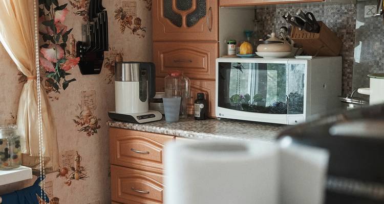 Visible mold under a kitchen sink and behind a fridge in a modern kitchen