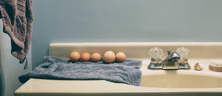 Visible household mold growth in a bathroom and basement, showing common allergy triggers