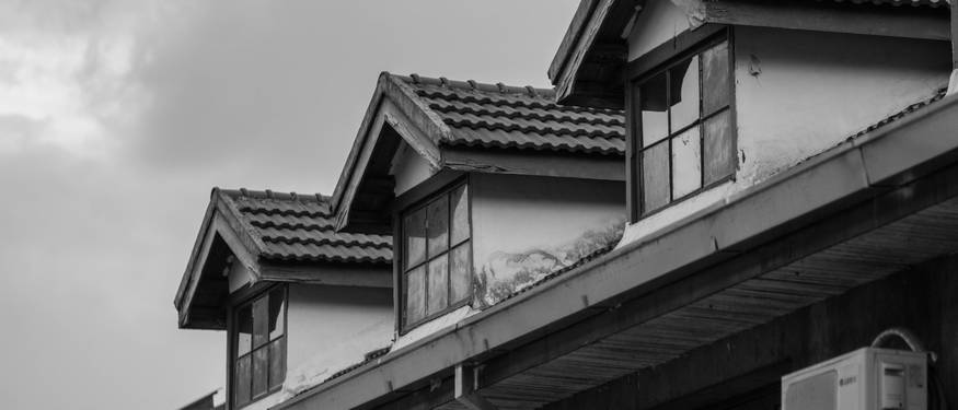 Legal paperwork and mold inspection reports important for landlord-tenant responsibilities