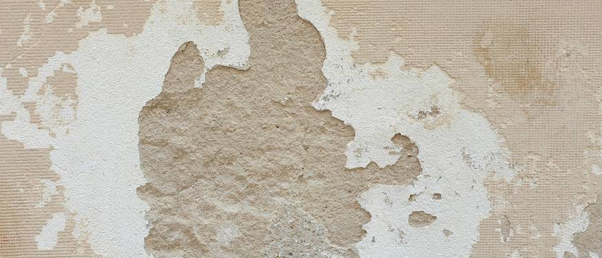 Side-by-side comparison of DIY and professional mold remediation in a home setting