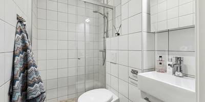 A well-ventilated, sunlit bathroom with no visible mold, illustrating prevention